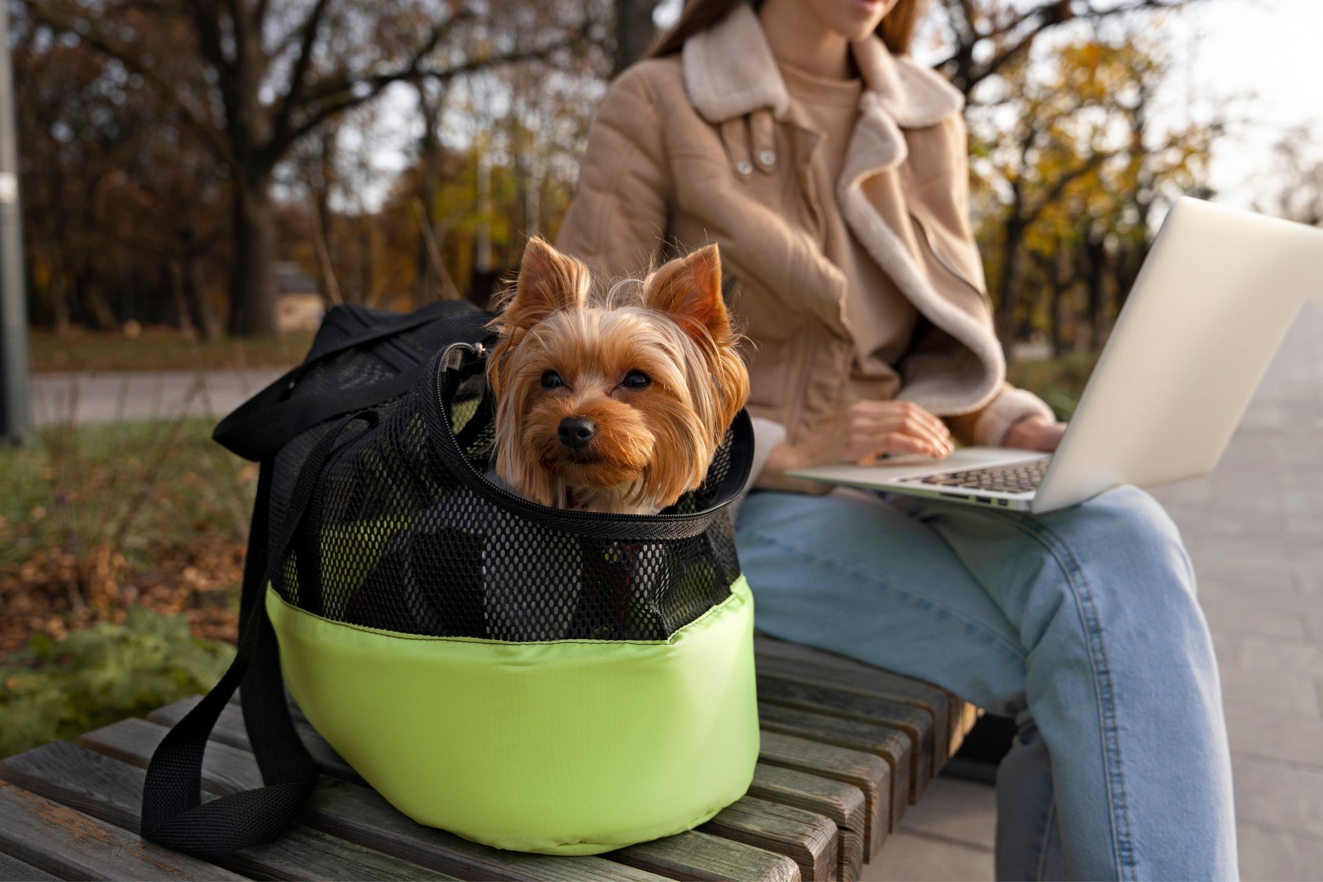 Rochester Hills, MI Veterinary Jobs Animal Medical Center Of Troy