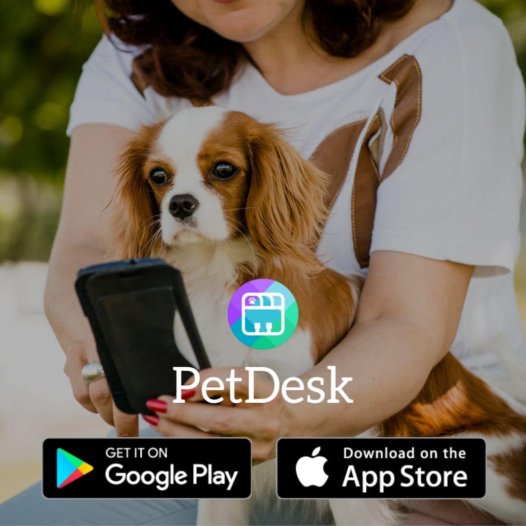 A woman using a phone with a dog