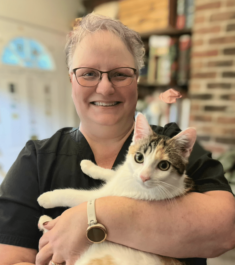 Animal Medical Center of Troy photo coming soon