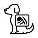 Pet X-Ray Icon